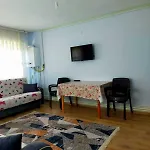 Zeytin Cicegi *