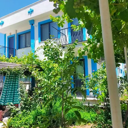 Hotel Zeytin Cicegi *