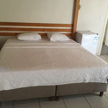 Zeytin Cicegi Geyikli