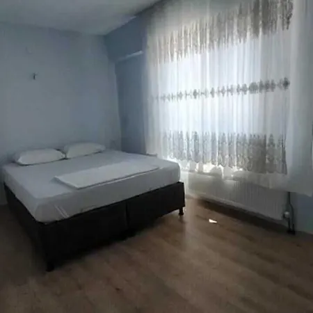 Zeytin Cicegi * Geyikli