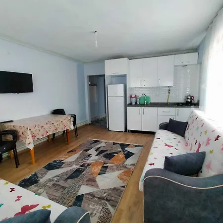 Zeytin Cicegi Hotel *