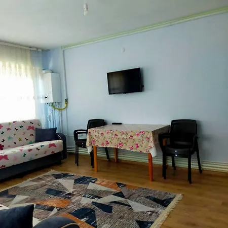 Zeytin Cicegi *