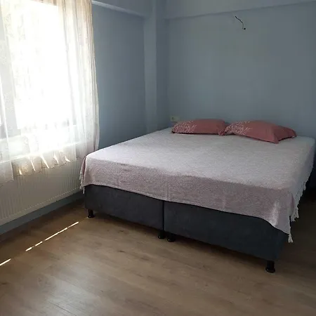 Zeytin Cicegi * Geyikli