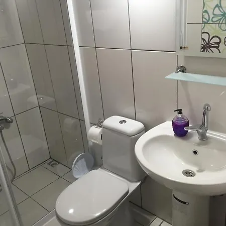 Zeytin Cicegi Hotel *
