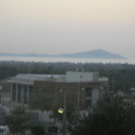 Zeytin Cicegi * Geyikli