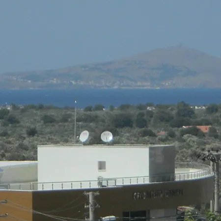 Zeytin Cicegi Geyikli