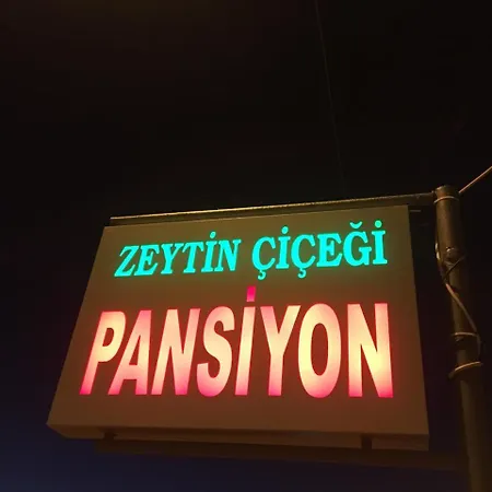 Pansiyon Zeytin çiçeği