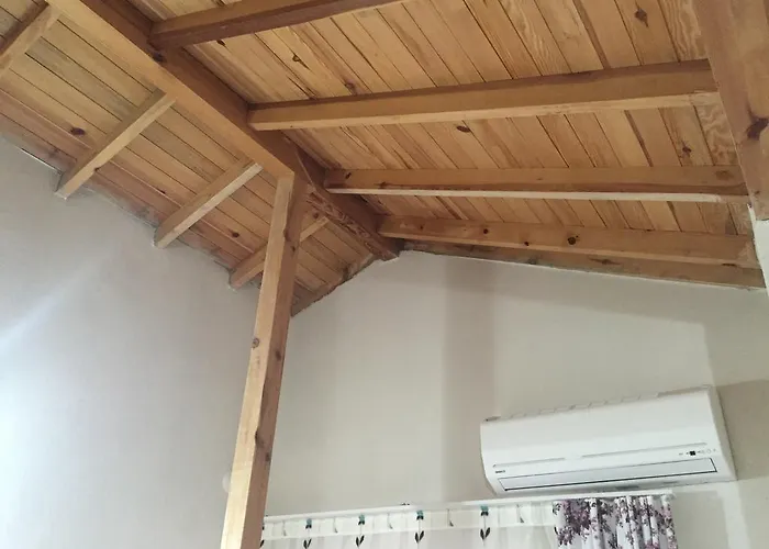 호텔 Zeytin Cicegi *