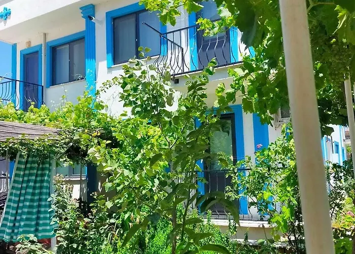 호텔 Zeytin Cicegi *