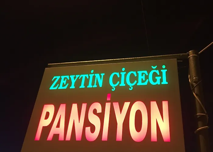Zeytin Cicegi 호텔