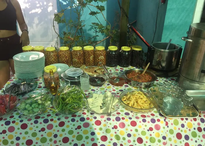 호텔 Zeytin Cicegi