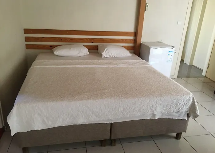 Zeytin Cicegi Geyikli