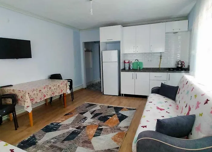 Zeytin Cicegi 호텔 *