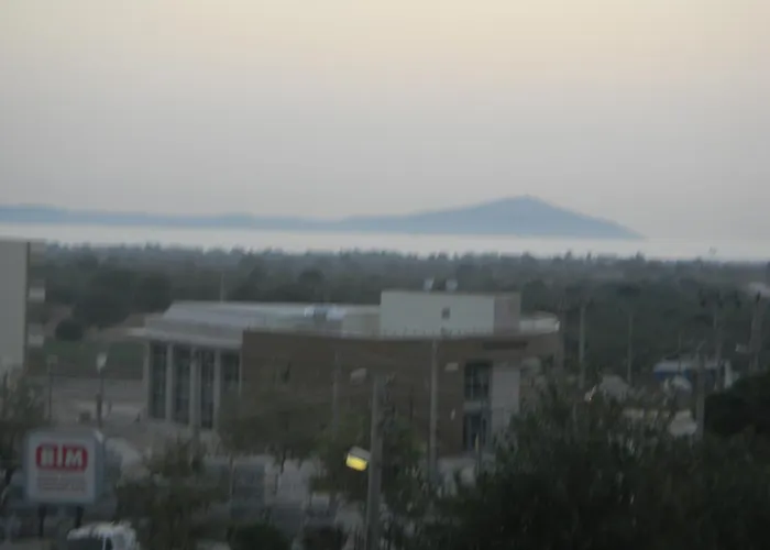 Zeytin Cicegi * Geyikli