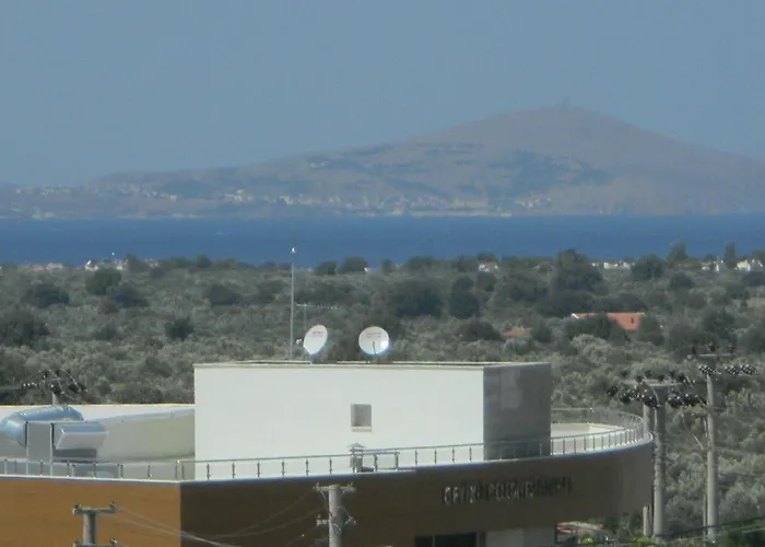 Zeytin Cicegi Geyikli